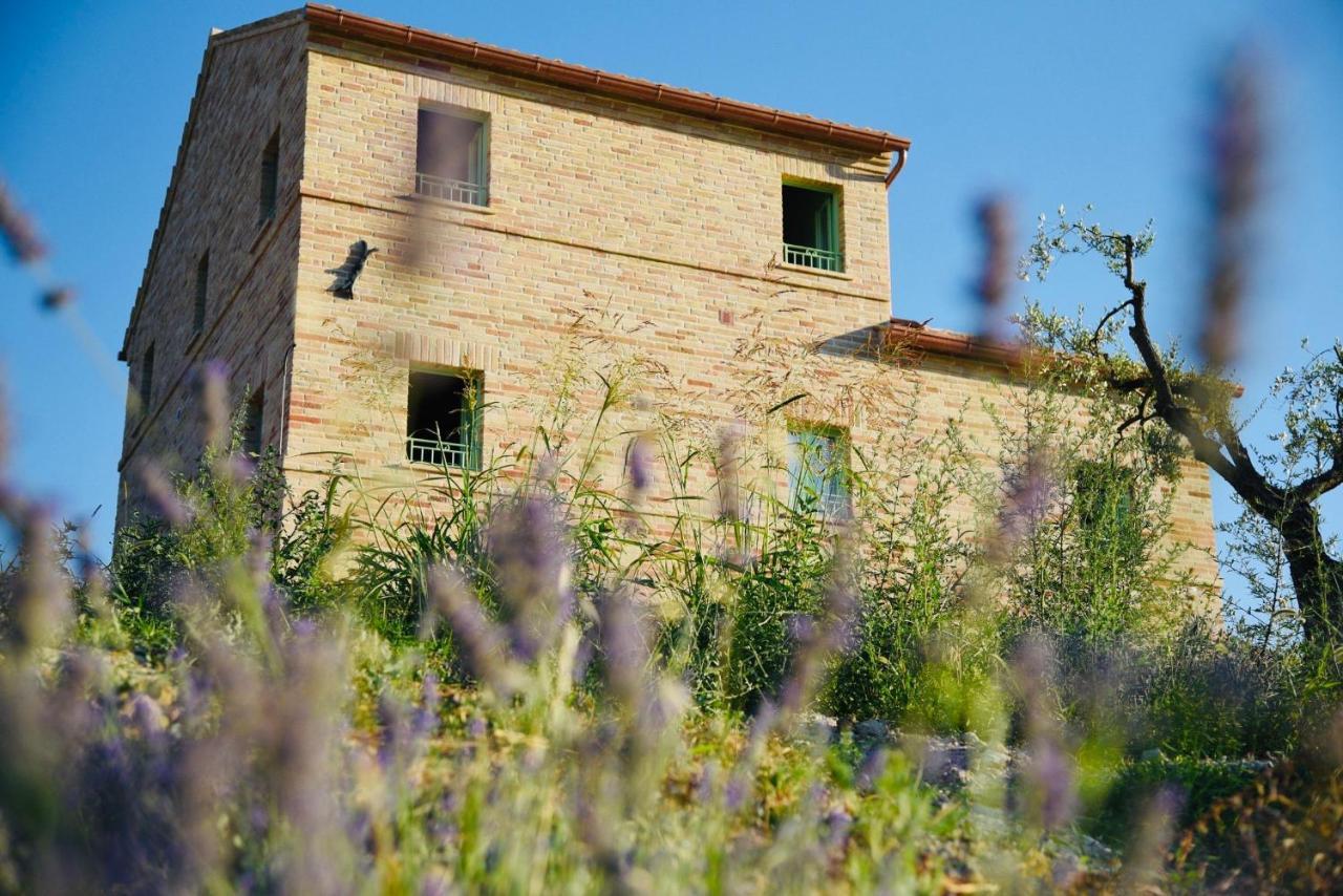 Appartamento Il casale dei nonni Grottazzolina Esterno foto
